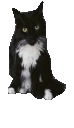 wuwu emote