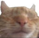 blind emote