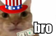 bro static emote