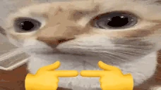 uuhShy emote