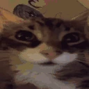 oh emote