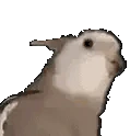 archJAM emote