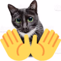 openhandscat emote