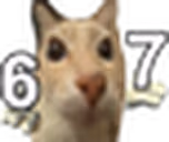67 emote