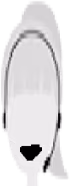 Laura_happy emote
