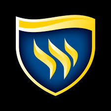 Texas_Wesleyan_University static emote