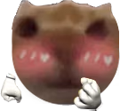 XyliFlushed emote