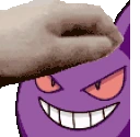 PETTHEGENGAR emote