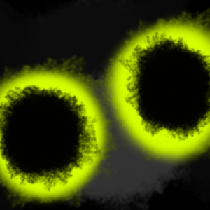 heavyfortress avatar