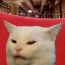Cat_Unpleased emote