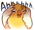 birbahh emote