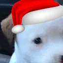 woof emote