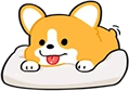 Corgi_Comfy emote