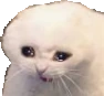 crying_cat2 emote