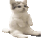 catJammingPolitely emoji