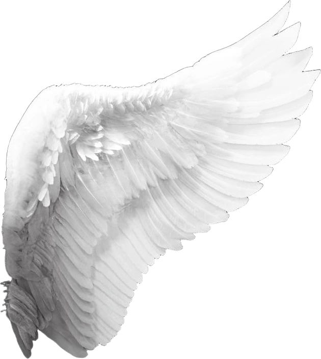 wing emote
