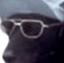 Confirmo_Zoom static emote