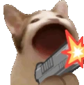 popcatgun emoji