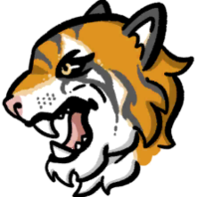surmounter avatar