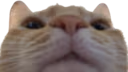 wya emote