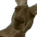 veryAussie emote