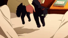 TuckAKitty emote