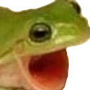FROGGERS emote