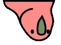 aussieParrot emote