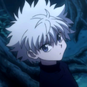 hyruverse avatar