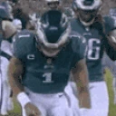 GOBIRDS emote