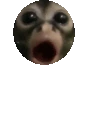 0Bounce emote