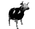 DancingCow emote