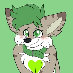 maxiedoge avatar