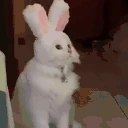 literallyme emote