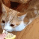 Lemon emote