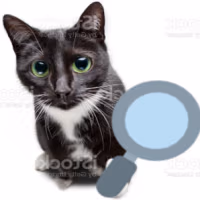 magnifyingglasscat emote