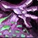 Warlock_Class_WoW emote