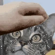 Eko_Pat emote