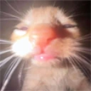 ermM emote