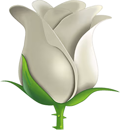 white_rose emote