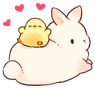 bunny_duck emote