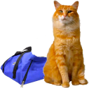 outthebag emote