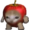 Applecatwait emote