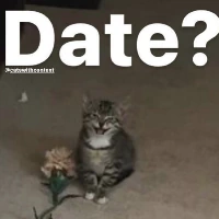 date emote