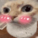 uuhshy emote