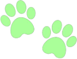 green_paw_prints emote