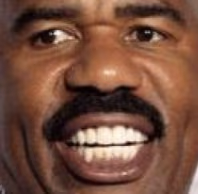 Steve emote