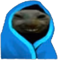 xddblanket emote
