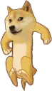 doge_elonmusk emote