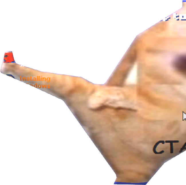CT emote